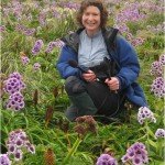 alison ballance small