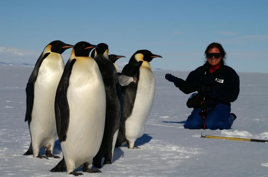 Veronika encounters Emperor penguins at the edge of Antarctica’s sea ice.