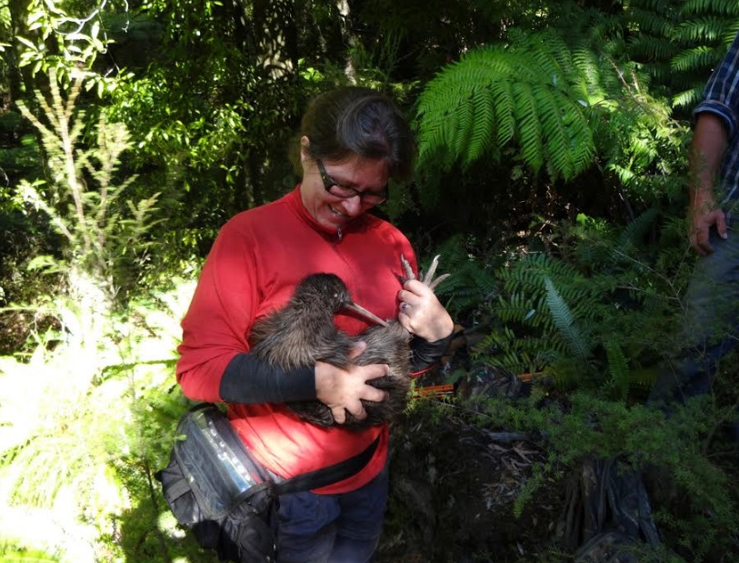 Veronica during a fieldtrip in the Maungataniwha native forest owned by the Forest Lifeforce Restoration Trust, which is part of the kiwi conservation project Operation Nest Egg, restores kakabeak in the wild, and is a good place to go hunting for dinosaur bones.