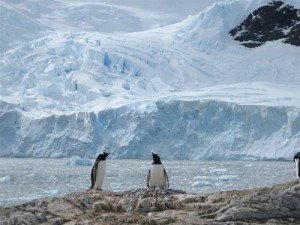 Antarctica warming man-made, say scientists