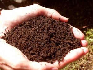 top-soil
