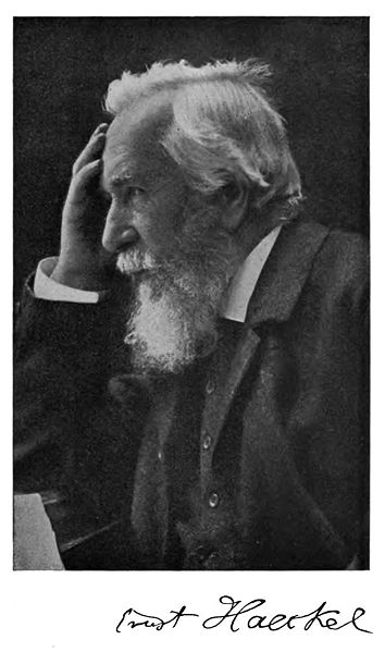 Ernest Haeckel