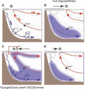 southern ocean carbon sink