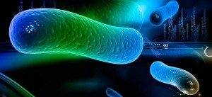 synthetic biology - engineered microorganisms