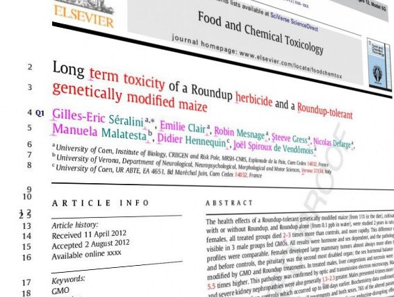 GM maize and cancer study retracted – experts respond