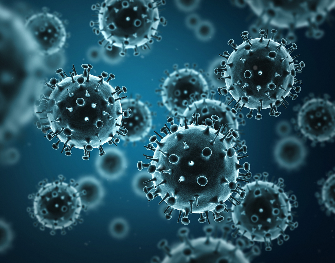 Influenza A H1N1 in New Zealand – Experts respond