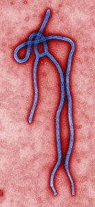 Ebola