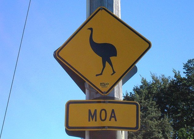 moa