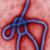 EBOLA