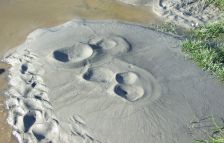The earthquakes generated eruptions of silt and sand that flooded the waterways. Credit: Jon Harding