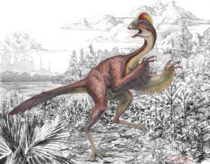 Life reconstruction of the new oviraptorosaurian dinosaur species Anzu wyliei in its ~66 million-­? year-­?old environment in western North America. It's been dubbed 'The Chicken from hell' however, at more than 10 feet in length, 5 feet in height and 600 pounds this was no chicken. Illustration: Mark A. Klingler, Carnegie Museum of Natural History