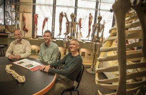 Distinguished Professor Ian Reid and Associate Professors Mark Bolland and Andrew Grey of Auckland University's School of Medicine