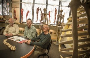 Distinguished Professor Ian Reid and Associate Professors Mark Bolland and Andrew Grey of Auckland University's School of Medicine