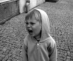 Credit. Flickr / Mindaugas Danys