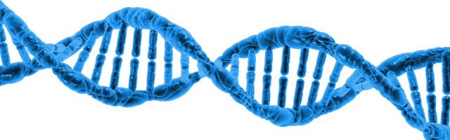 DNA - Public Domain