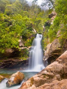 Rainforest waterfall New Zealand