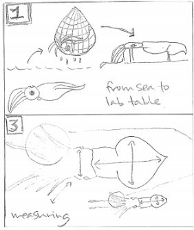 story