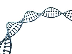 DNA Molecular Structure