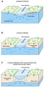 groundwater fig