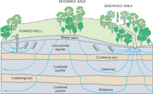 Groundwater flow paths, from USGS Circular 1139.