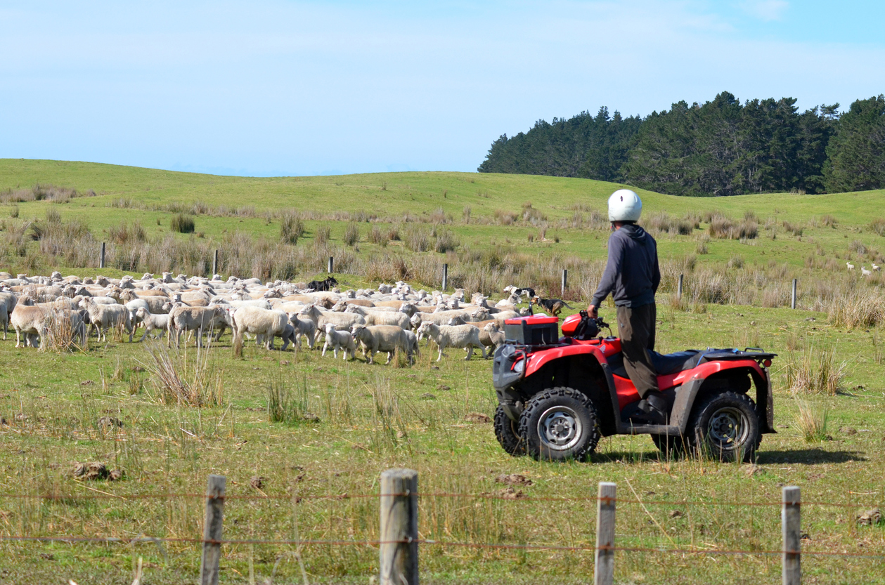 Farmers advocate takes wrong message from climate reports – Andy Reisinger