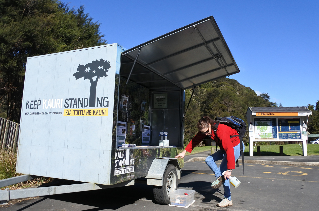 Kauri dieback in the Waitakere Ranges — Expert Reaction