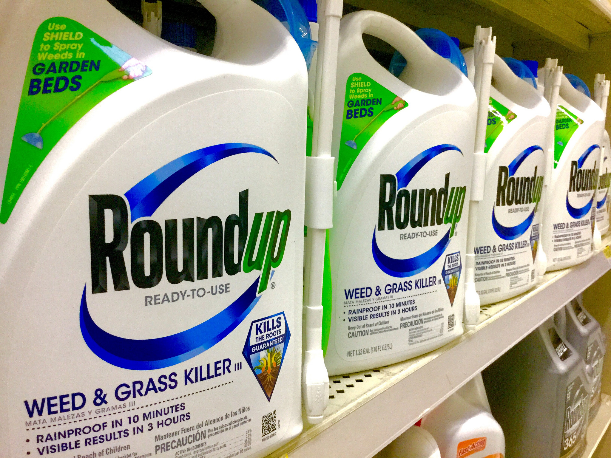 Monsanto loses glyphosate cancer case – Expert Reaction