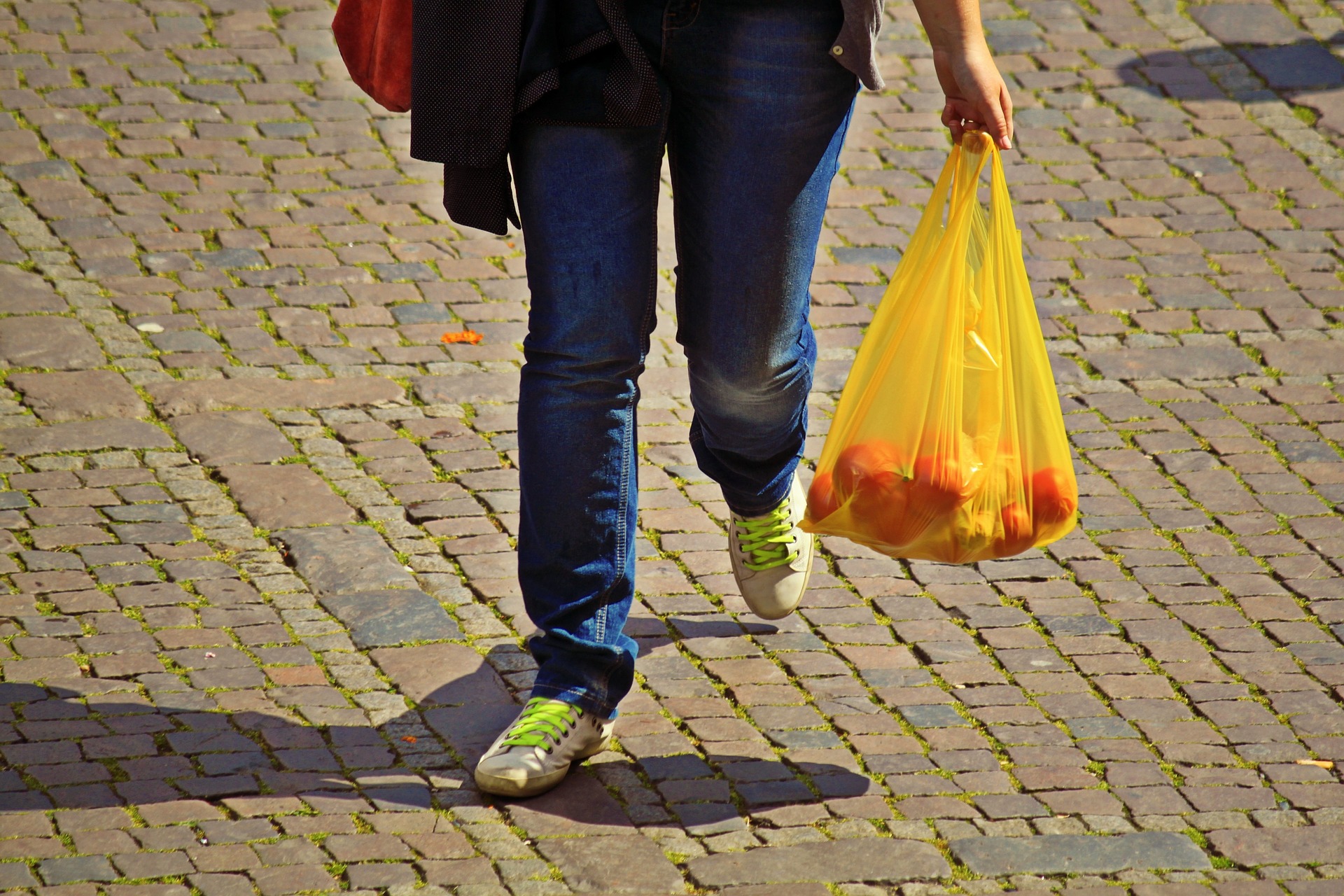 Single use plastic bag ban – Expert Reaction