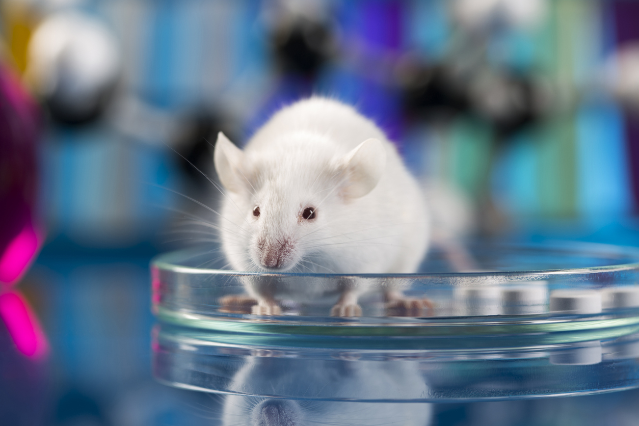 Gene drive tested in mice – Expert Reaction