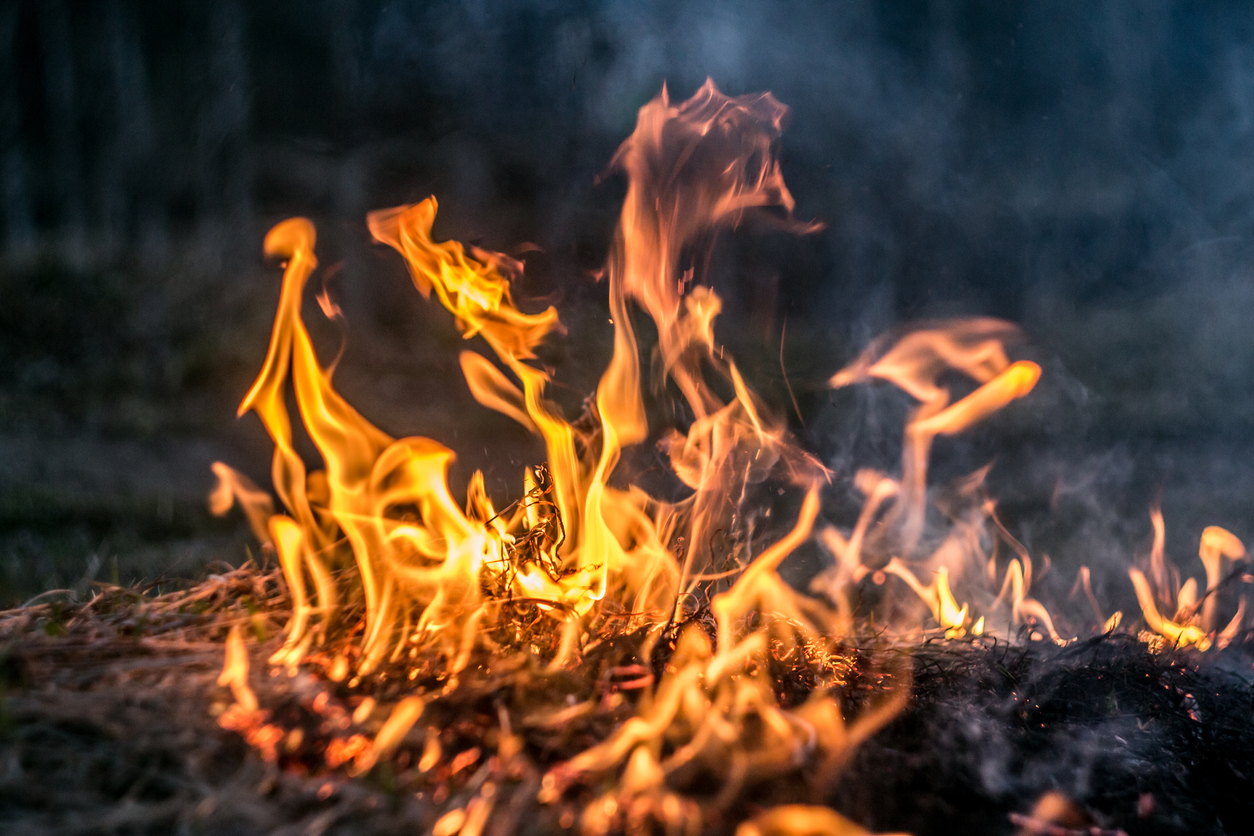 New fire in the Tasman region – Expert Reaction