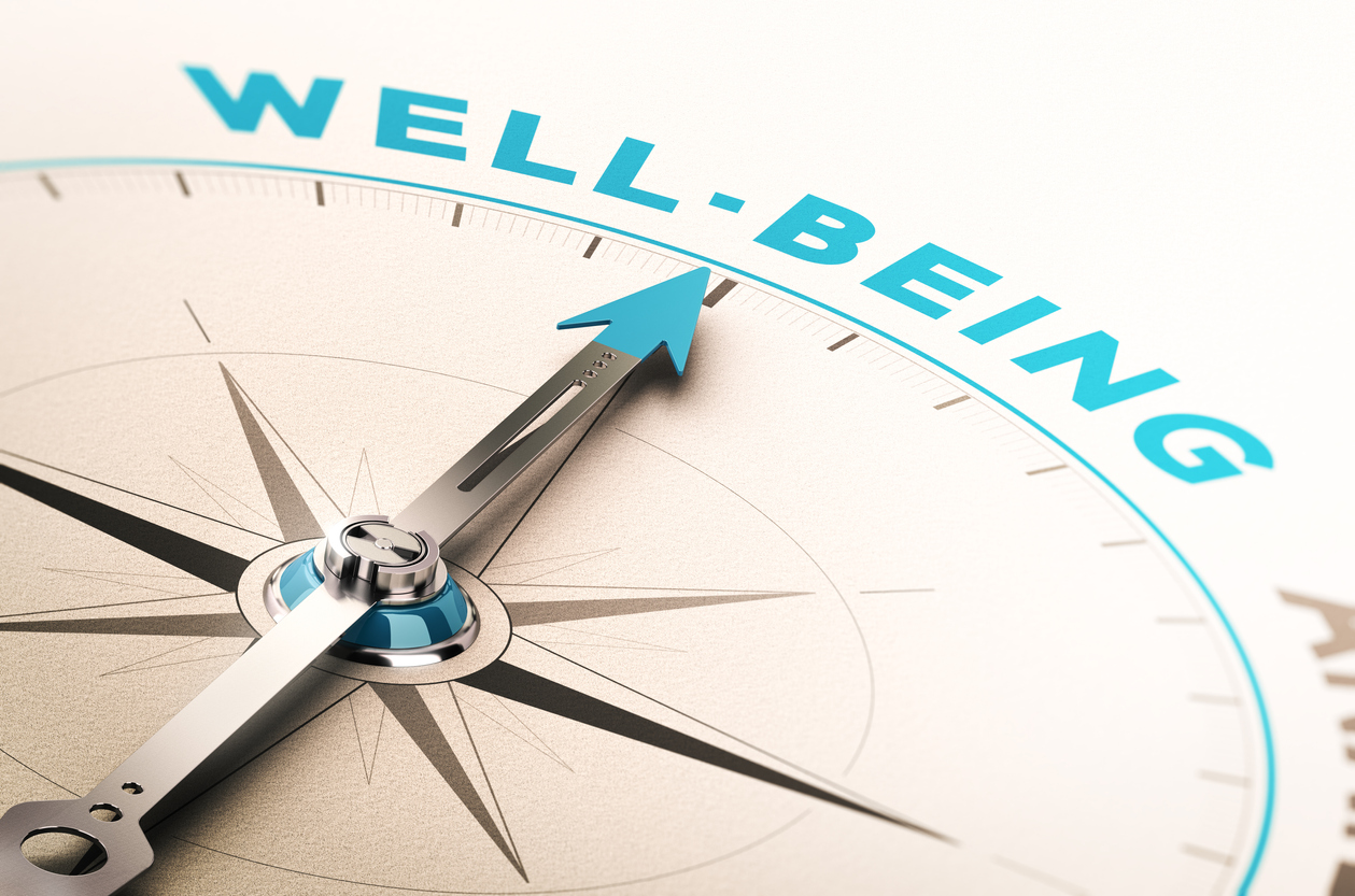 Budget 2019: Wellbeing – Expert Reaction