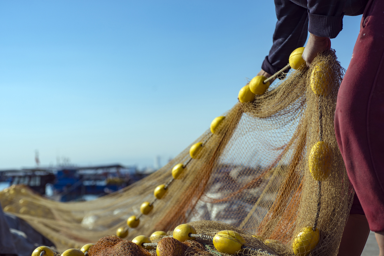 Cameras on fishing boats – Expert Reaction