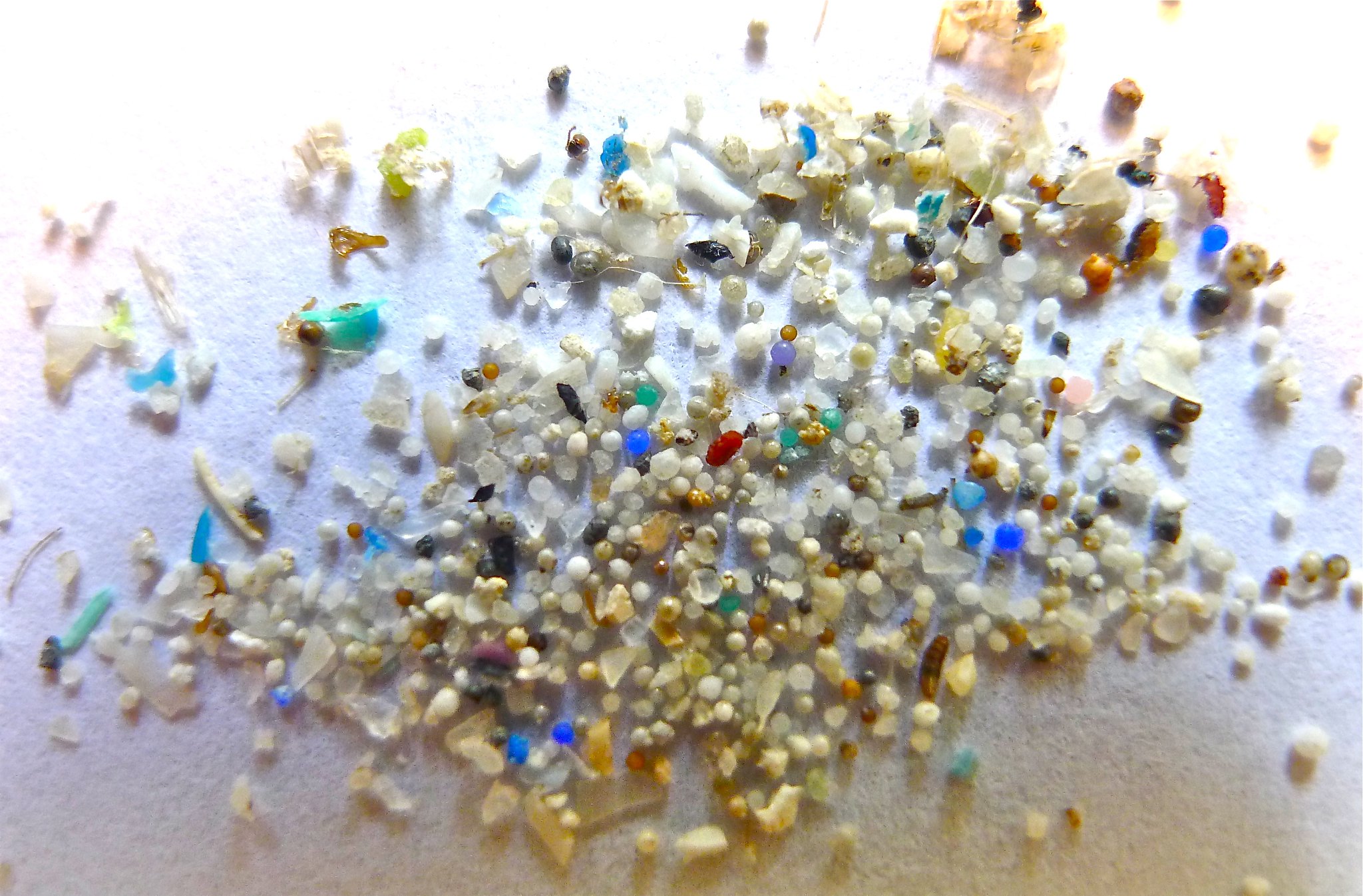 Microplastics on Auckland beaches – Expert Reaction