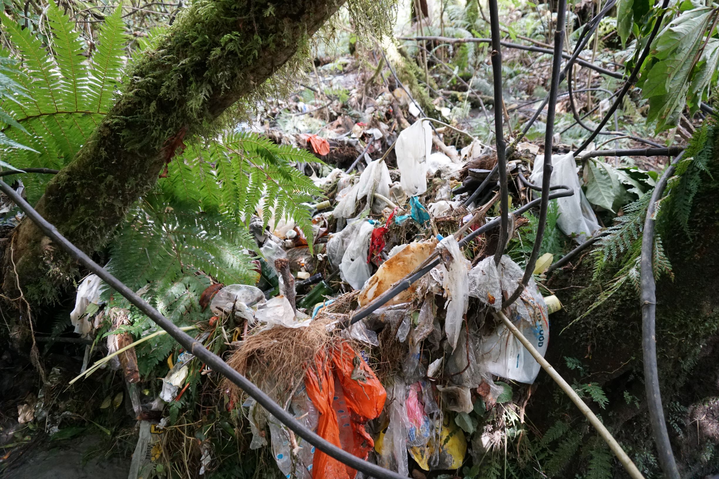 Report on dealing with plastics – Expert Reaction