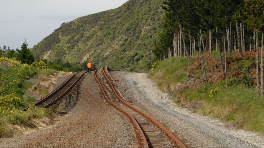 Unusual fault rupture in Kaikōura quake – Expert Reaction