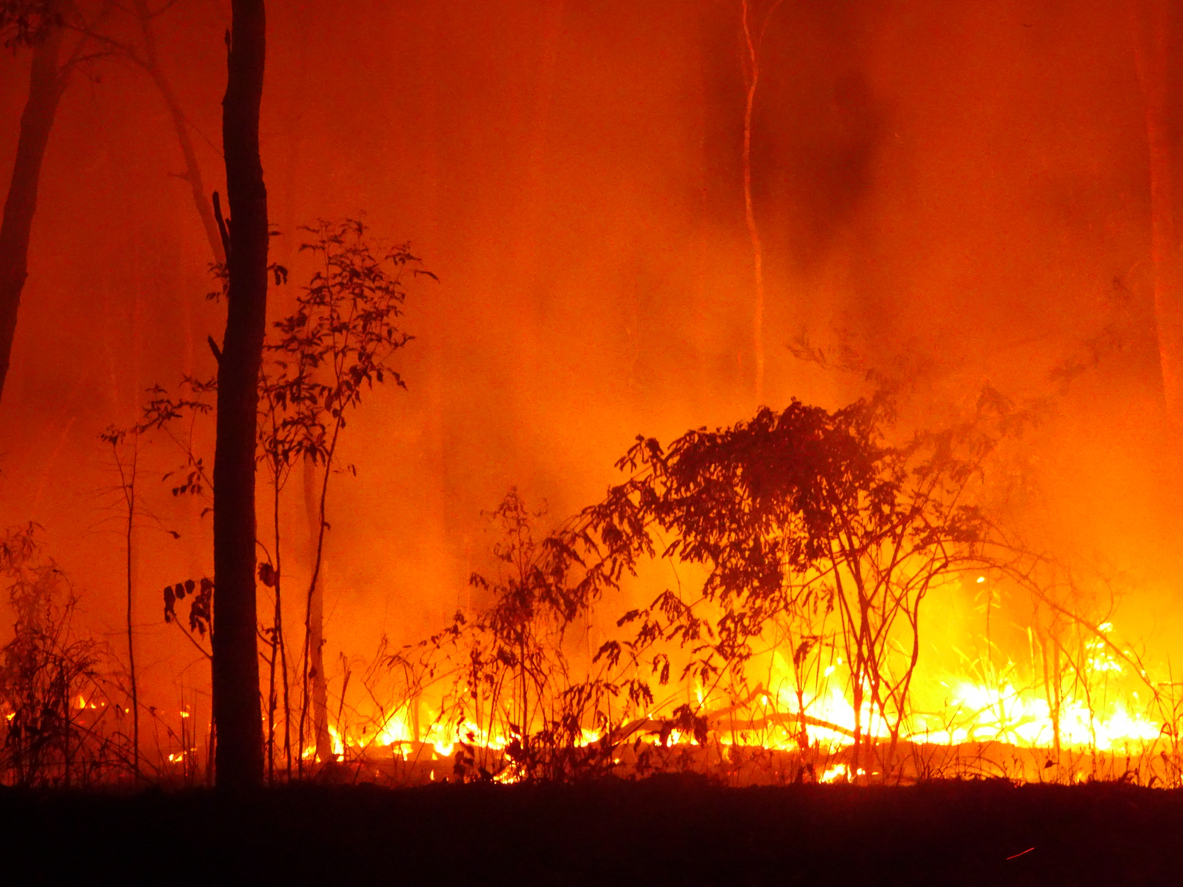 Bushfires rage along Australia’s East Coast – Expert Reaction