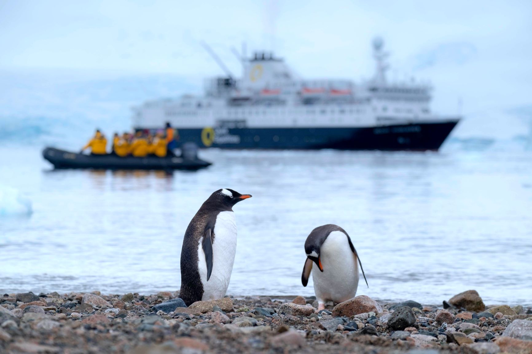 Antarctic science shrunk for COVID-19 – Expert Reaction