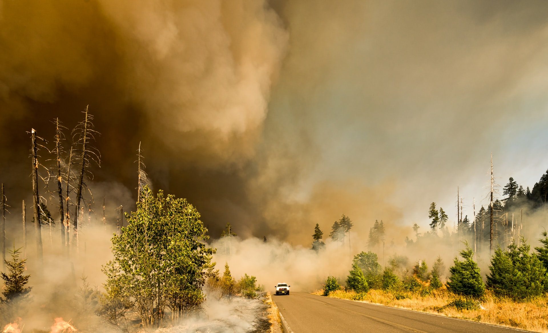 Could wildfire smoke spread infectious diseases?