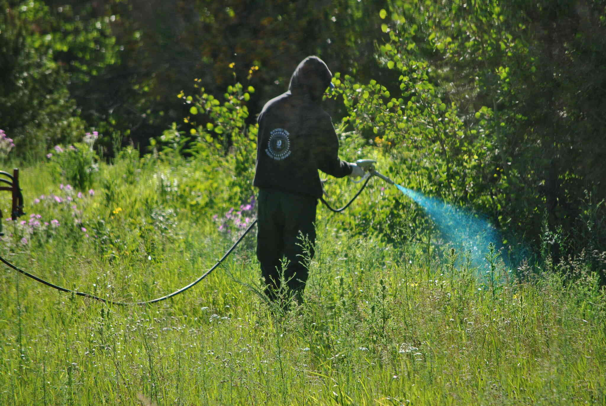 Input on glyphosate sought – Expert Reaction