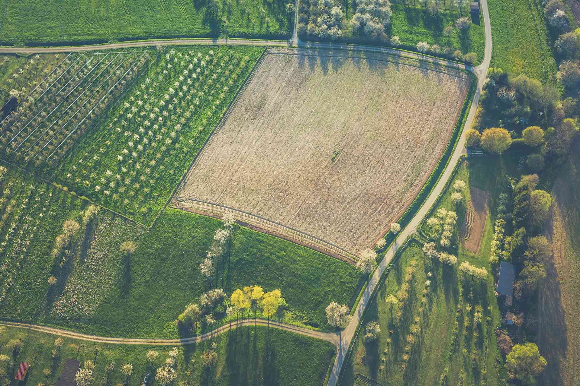 New Zealand’s fragmenting farmlands – Expert Reaction