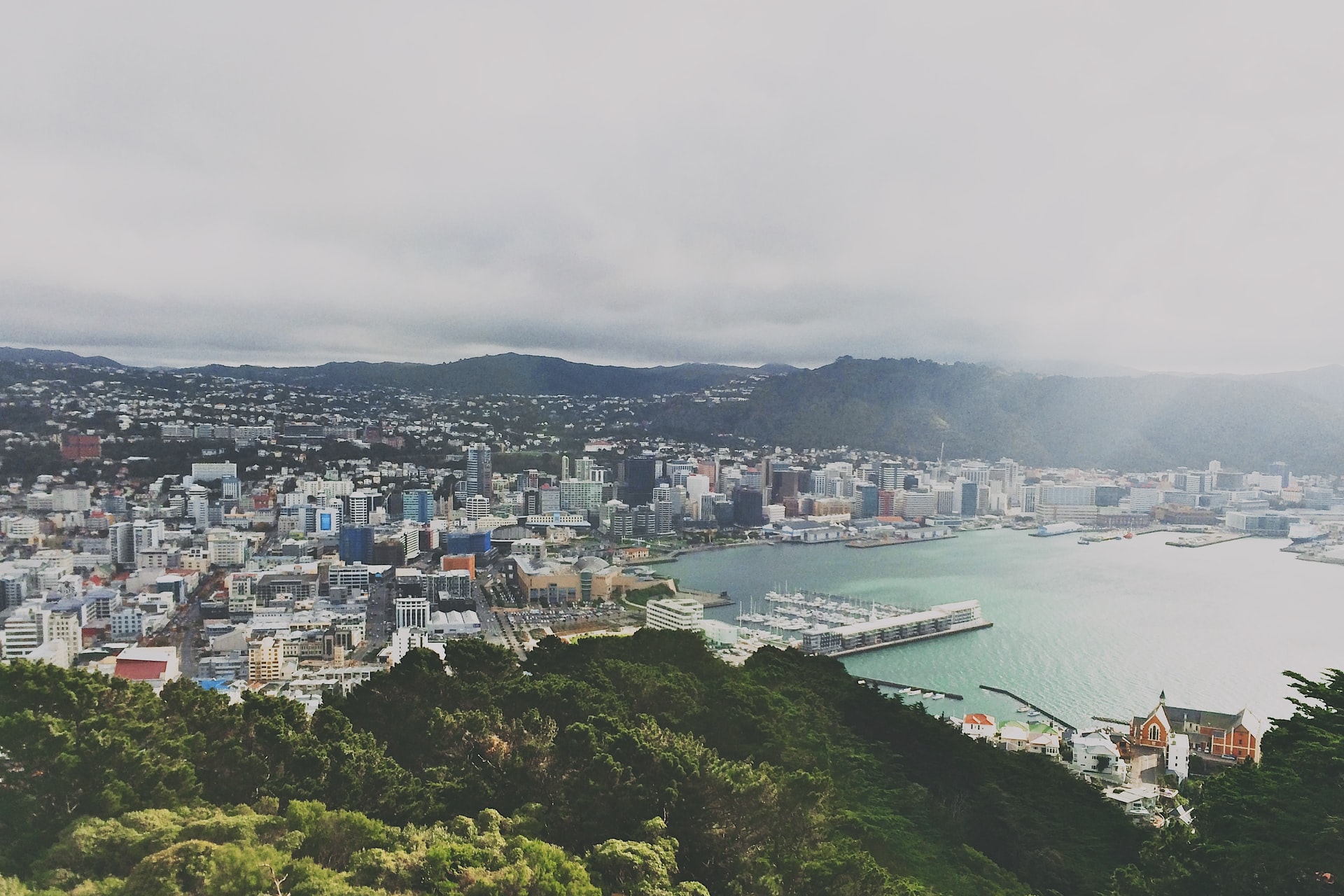 Wellington region goes to Alert Level 2 – Expert Reaction