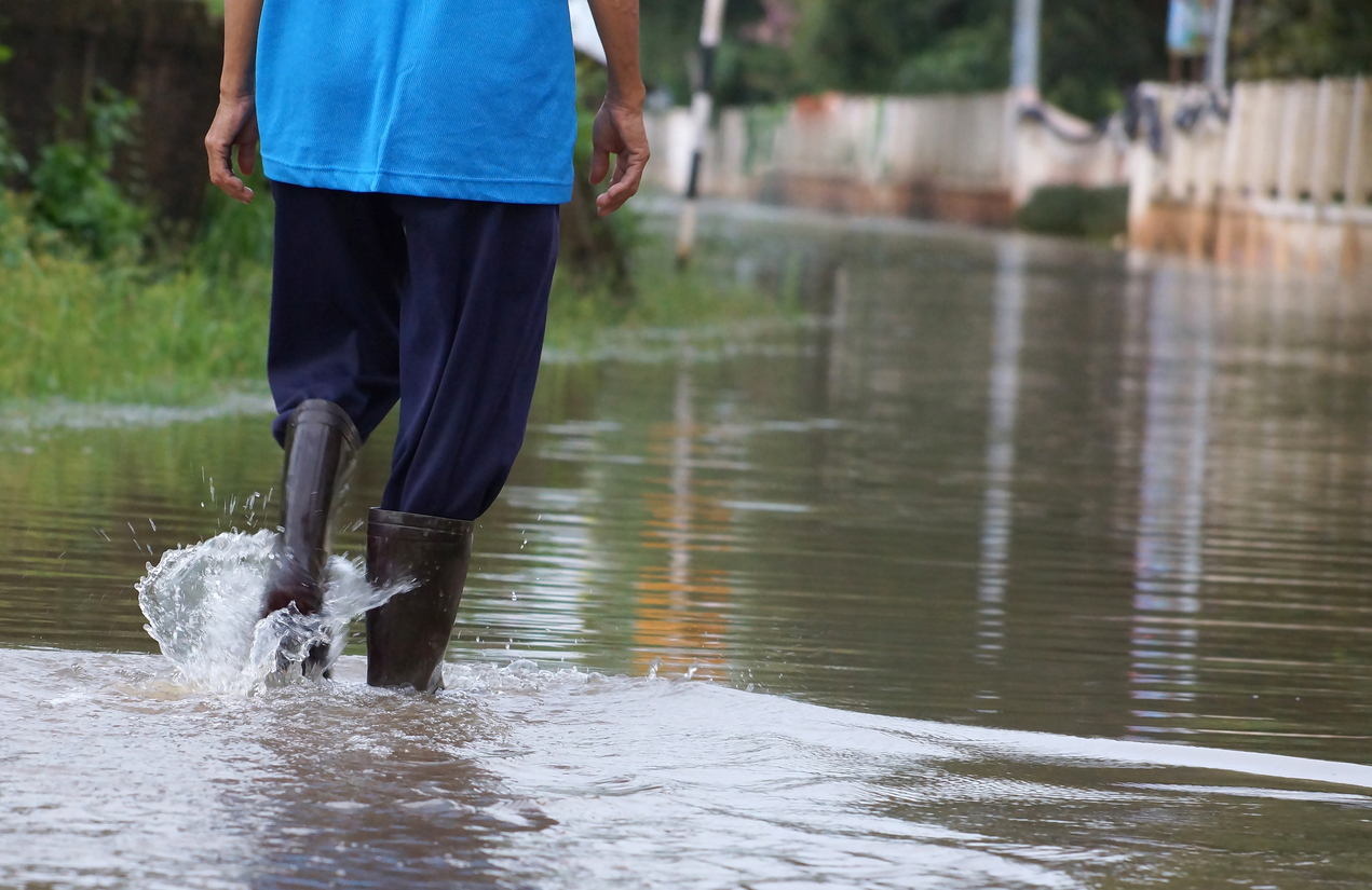 Frequent flooding in NZ – Expert Reaction