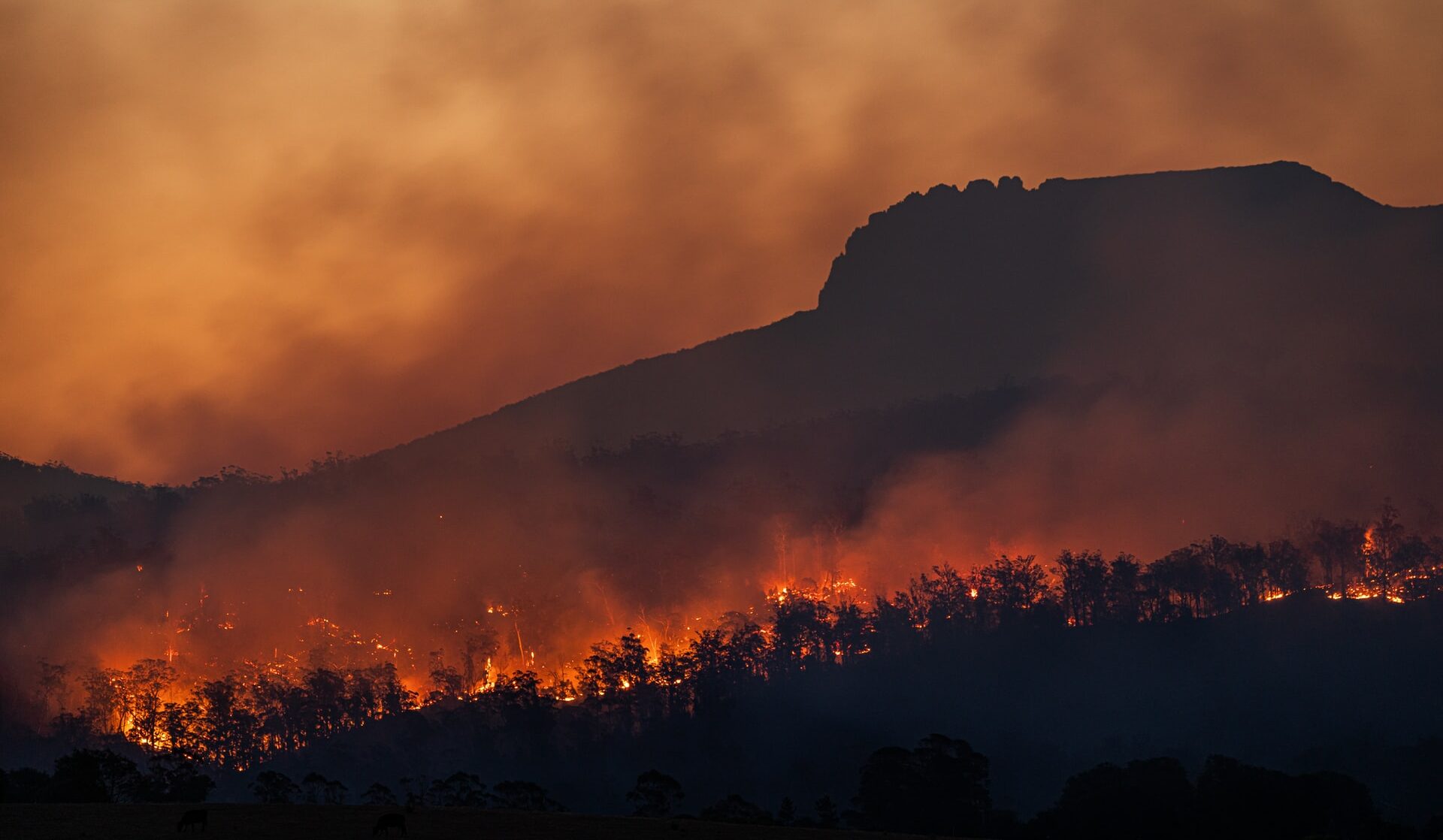 IPCC: Recent changes in Earth’s climate “unprecedented” – Expert Reaction