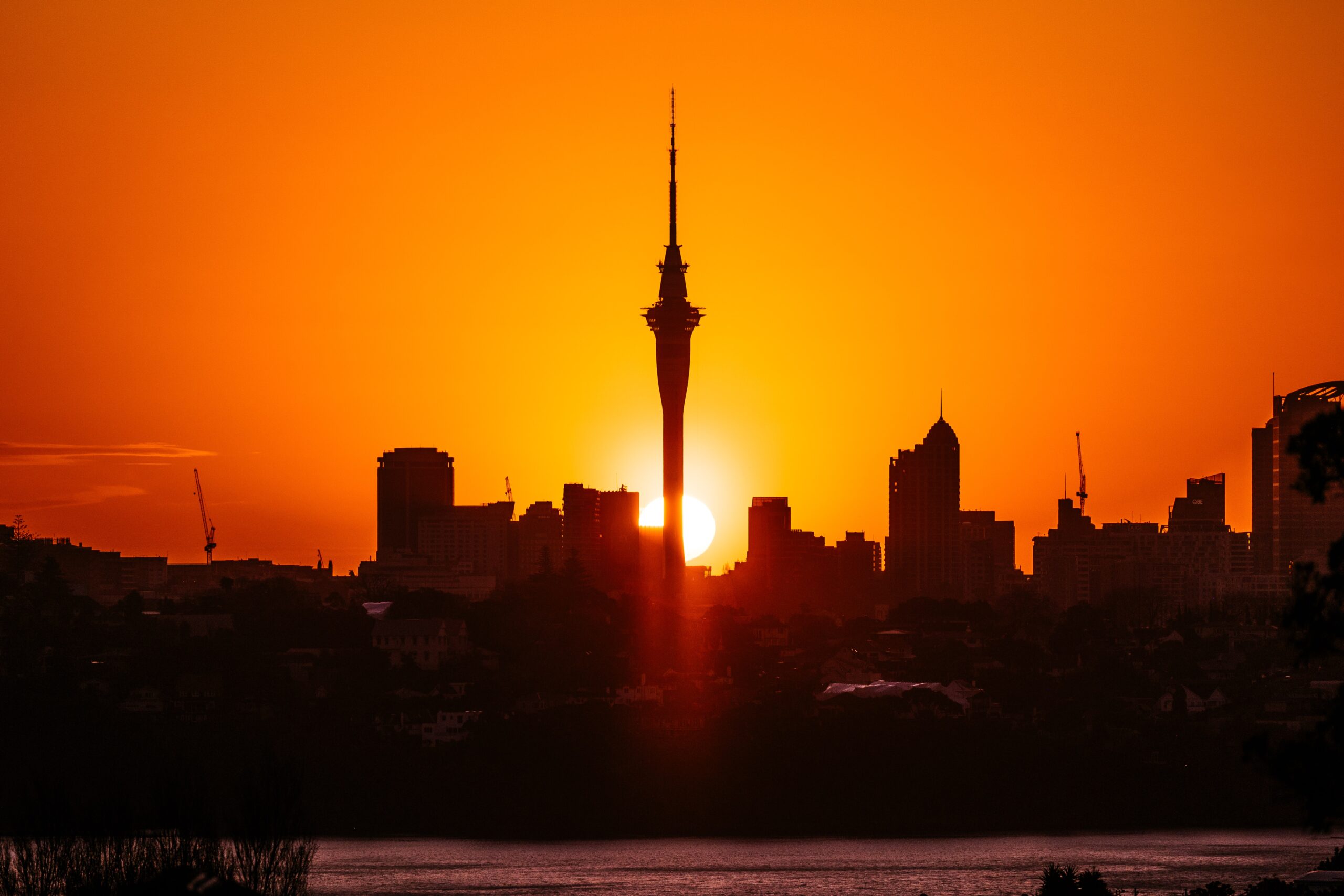 Staged easing of Auckland’s restrictions – Expert Reaction