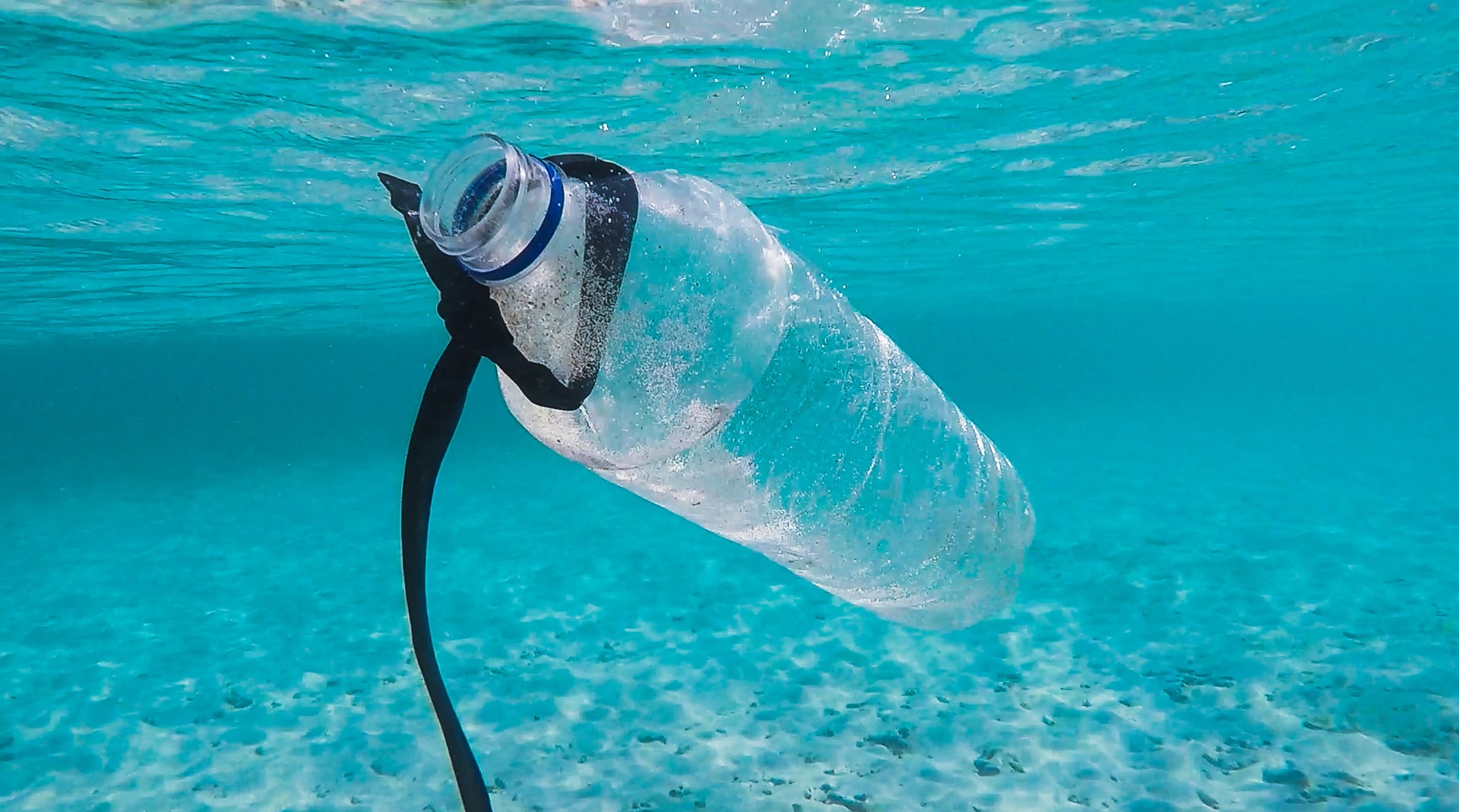 Nations make historic commitment to tackle plastic pollution – Expert Reaction