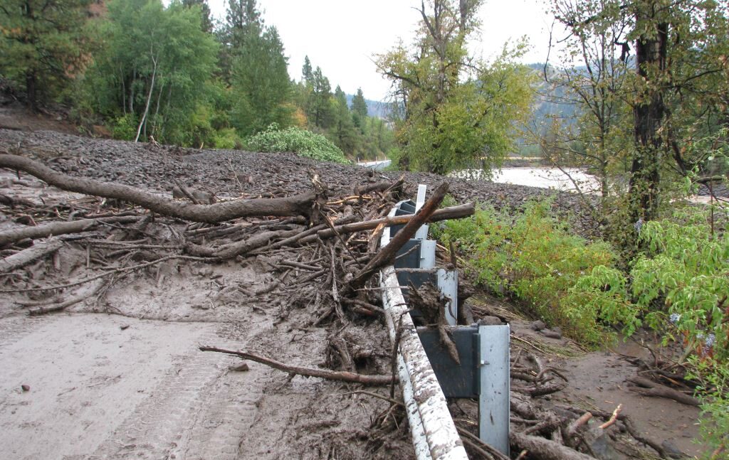 Forestry slash to be reviewed after repeated flood destruction – Expert Reaction