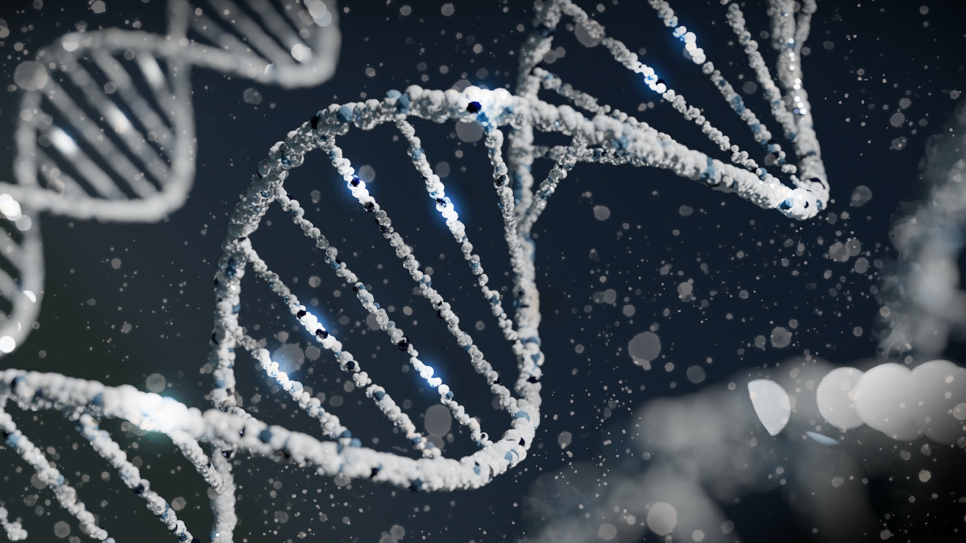 Genetic discrimination in New Zealand – Expert Reaction