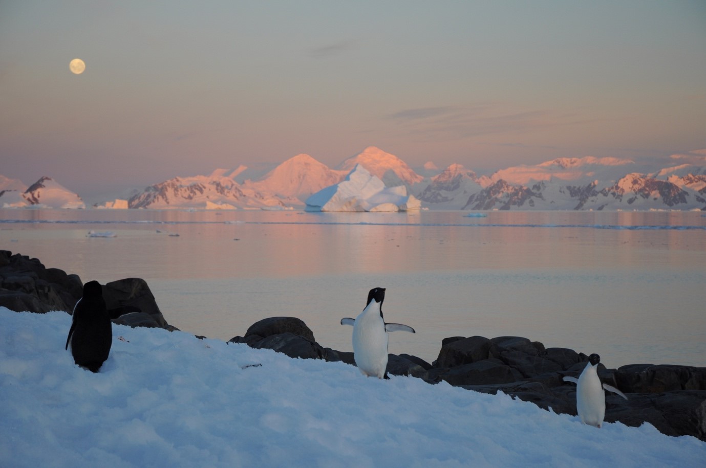 Climate change is taking a toll on every aspect of Antarctica – Expert Reaction