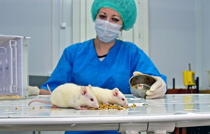 Actitudes frente a las pruebas e investigación con animales en Aotearoa – Reacción de expertos
