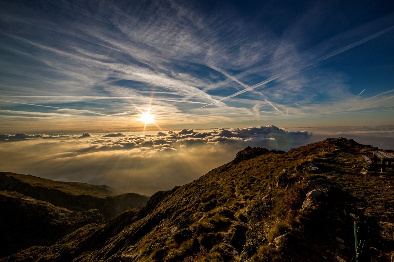 Climate change is putting mountain biodiversity at risk – Expert Reaction